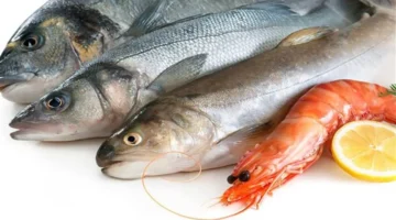 تحديثات الأسعار.. قائمة أسعار السمك داخل سوق العبور خلال تعاملات اليوم الأثنين